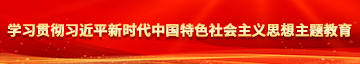 久久偷拍美女屄屄学习贯彻习近平新时代中国特色社会主义思想主题教育
